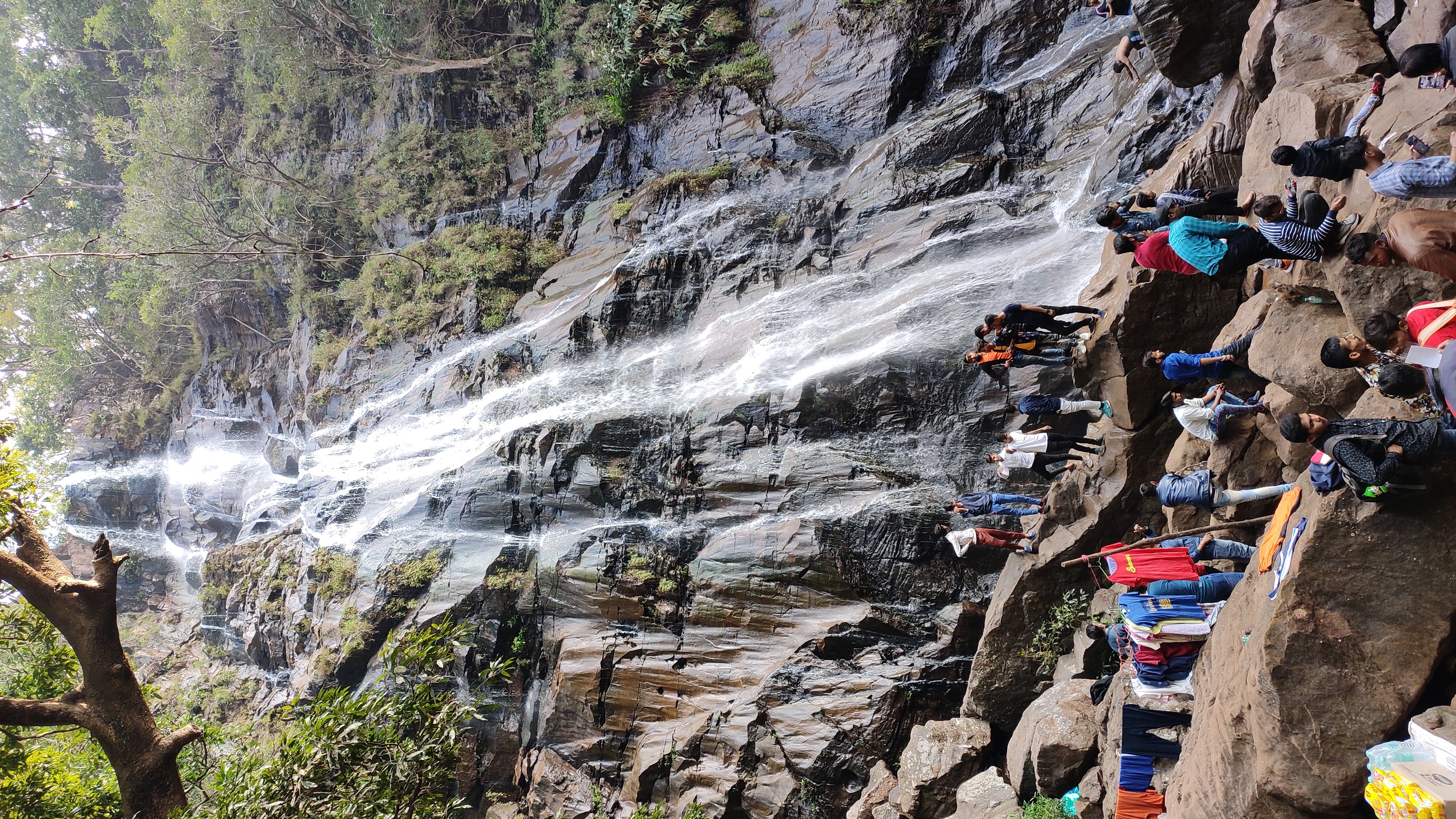 Bee Falls