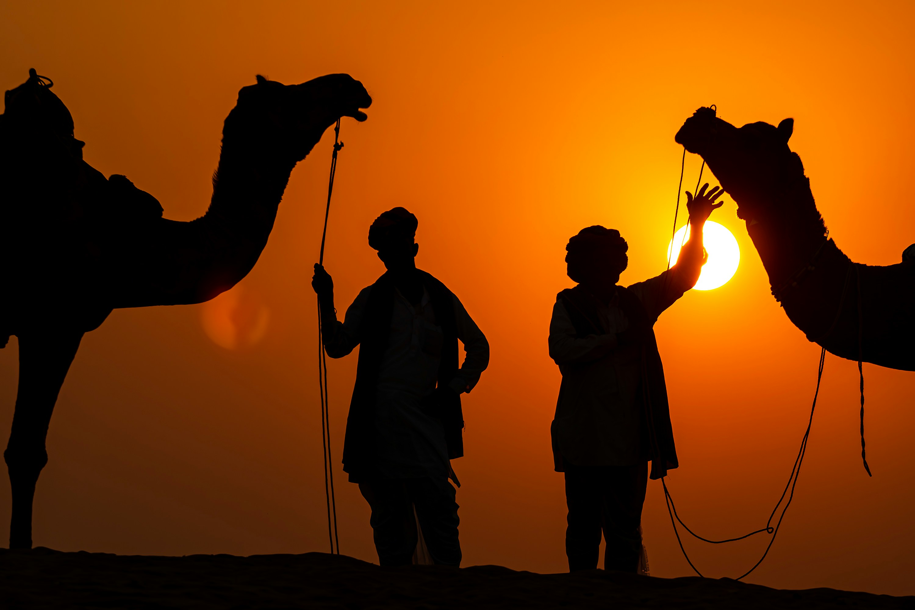 Desert Camp